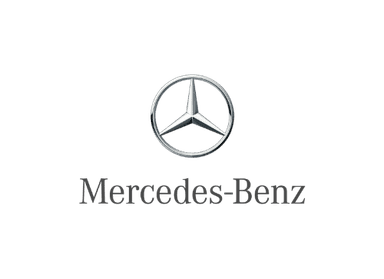 Vehicle brand logo